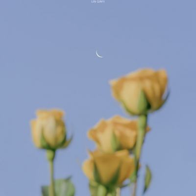 十万个冷笑话2手游下载