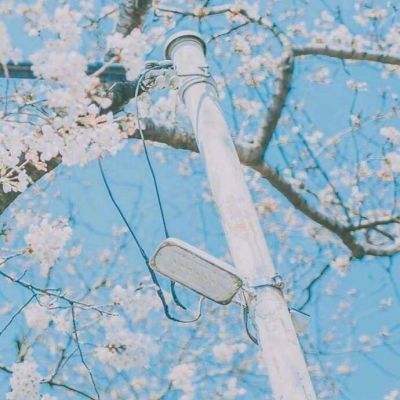 天启降临手机版下载